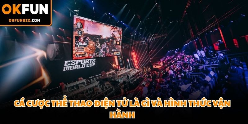 Dự đoán kết quả trận đấu game trực tuyến nhận tiền thưởng lớn hàng ngày
