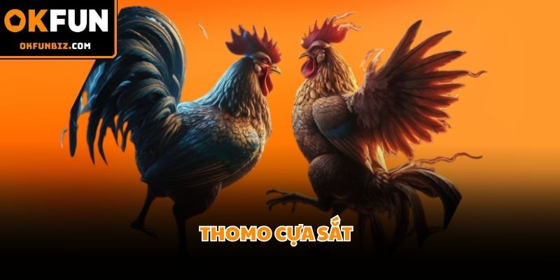 Trận chiến cựa sắt kịch tính diễn ra tại đấu trường Campuchia danh tiếng
