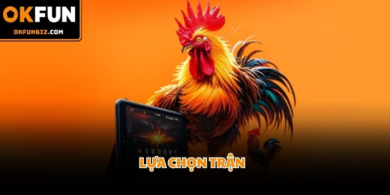 Người chơi chủ động lựa chọn trận đấu chiến kê bản thân yêu thích nhất 2026