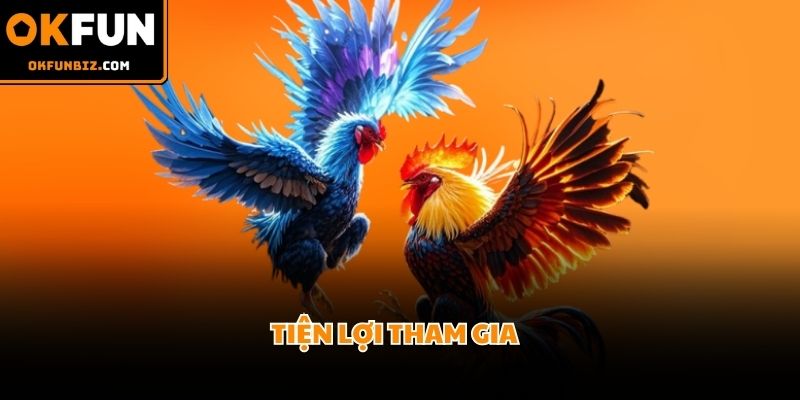 Trải nghiệm cá cược đá gà OKFUN mượt mà trên nền tảng ứng dụng di động