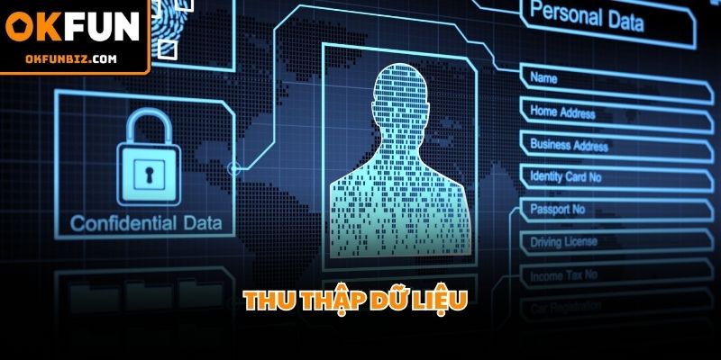 Quy trình lưu trữ dữ liệu cơ bản hỗ trợ đắc lực công tác quản lý.