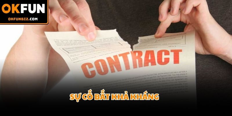 Thiên tai hay sự cố đường truyền quốc tế thuộc danh mục được bảo vệ