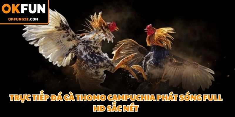 Trực tiếp đá gà Thomo Campuchia